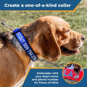 GoTags Nylon Personalized Dog Collar, Pink, Medium: 14 to 20-in neck, 3/4-in wide