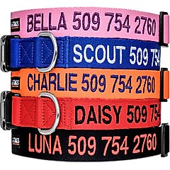 GoTags Nylon Personalized Dog Collar, Pink, X-Small: 8 to 12-in neck, 3/8-in wide