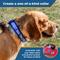 Show in main carousel: GoTags Nylon Personalized Dog Collar, Red, Medium: 14 to 20-in neck, 3/4-in wide slide 2 of 10