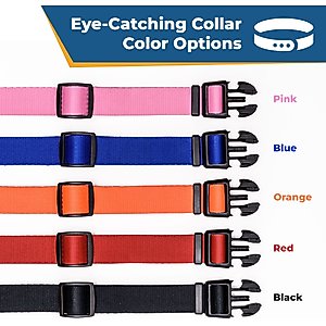 GoTags Nylon Personalized Dog Collar, Red, Medium: 14 to 20-in neck, 3/4-in wide