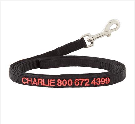 Show full view: GoTags Nylon Personalized Dog Leash, Black, Small: 6-ft long, 3/8-in wide slide 1 of 7