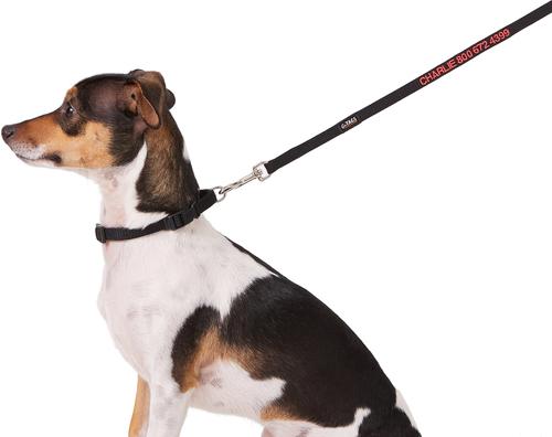 Show full view: GoTags Nylon Personalized Dog Leash, Black, Small: 6-ft long, 3/8-in wide slide 2 of 7