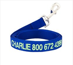 GoTags Nylon Personalized Dog Leash, Blue, Large: 6-ft long, 1-in wide