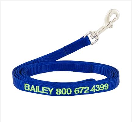 Show full view: GoTags Nylon Personalized Dog Leash, Blue, Small: 6-ft long, 3/8-in wide slide 1 of 8