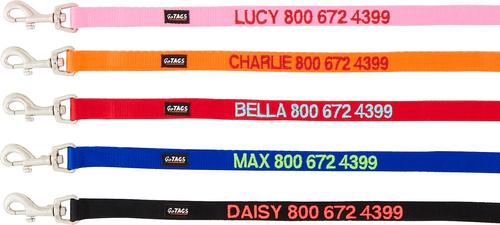 Show full view: GoTags Nylon Personalized Dog Leash, Blue, Small: 6-ft long, 3/8-in wide slide 6 of 8