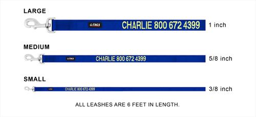 Show full view: GoTags Nylon Personalized Dog Leash, Blue, Small: 6-ft long, 3/8-in wide slide 7 of 8