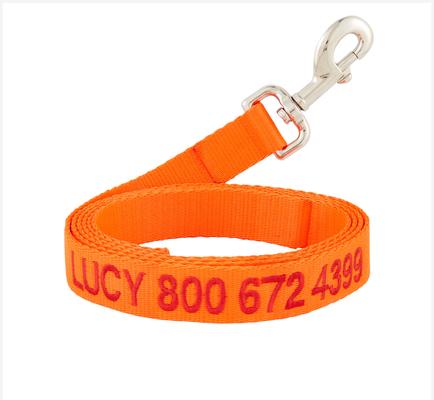 Show full view: GoTags Nylon Personalized Dog Leash, Orange, Large: 6-ft long, 1-in wide slide 1 of 7