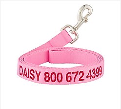 GoTags Nylon Personalized Dog Leash, Pink, Large: 6-ft long, 1-in wide