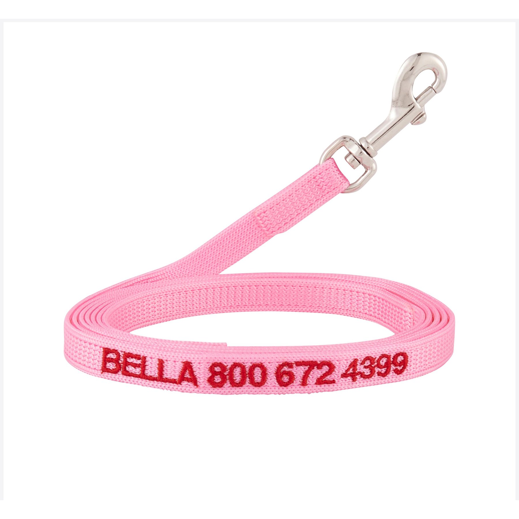 Custom Nylon Dog Leash, Pink, Small: 6-ft long, 3/8-in wide, GoTags