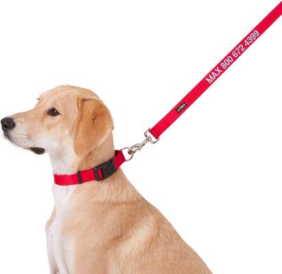 Show full view: GoTags Nylon Personalized Dog Leash, Red, Large: 6-ft long, 1-in wide slide 2 of 7