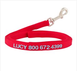 GoTags Nylon Personalized Dog Leash, Red, Small: 6-ft long, 3/8-in wide