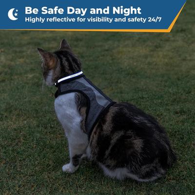 Show full view: GoTags Nylon Personalized Reflective Breakaway Cat Collar with Bell, Black, 8 to 13-in neck, 1/2-in wide slide 4 of 8