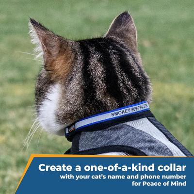 Show full view: GoTags Nylon Personalized Reflective Breakaway Cat Collar with Bell, Black, 8 to 13-in neck, 1/2-in wide slide 2 of 8
