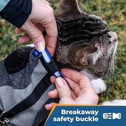 GoTags Nylon Personalized Reflective Breakaway Cat Collar with Bell, Orange, 8 to 13-in neck, 1/2-in wide slide 2 of 6