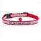 Show in main carousel: GoTags Nylon Personalized Reflective Breakaway Cat Collar with Bell, Red, 8 to 13-in neck, 1/2-in wide slide 1 of 8