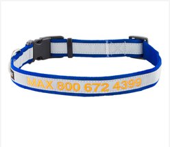 GoTags Nylon Personalized Reflective Dog Collar, Blue, Large: 17 to 27.5-in neck, 1-in wide