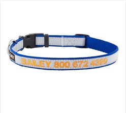 GoTags Nylon Personalized Reflective Dog Collar, Blue, Medium: 14 to 20.5-in neck, 3/4-in wide