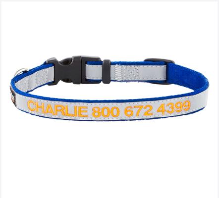 Show full view: GoTags Nylon Personalized Reflective Dog Collar, Blue, Small: 11 to 16.5-in neck, 5/8-in wide slide 1 of 9