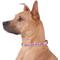 Show in main carousel: GoTags Nylon Personalized Reflective Dog Collar, Orange, Medium: 14 to 20.5-in neck, 3/4-in wide slide 3 of 9