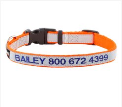 GoTags Nylon Personalized Reflective Dog Collar, Orange, Small: 11 to 16.5-in neck, 5/8-in wide