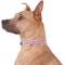 Show in main carousel: GoTags Nylon Personalized Reflective Dog Collar, Pink, Medium: 14 to 20.5-in neck, 3/4-in wide slide 3 of 9