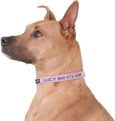 Show full view: GoTags Nylon Personalized Reflective Dog Collar, Pink, Medium: 14 to 20.5-in neck, 3/4-in wide slide 3 of 9