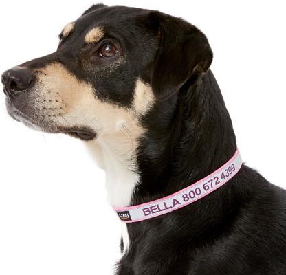 Show full view: GoTags Nylon Personalized Reflective Dog Collar, Pink, Small: 11 to 16.5-in neck, 5/8-in wide slide 3 of 9
