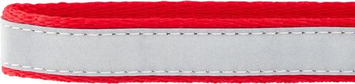Show full view: GoTags Nylon Personalized Reflective Dog Collar, Red, Small: 11 to 16.5-in neck, 5/8-in wide slide 6 of 9