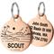 Show in main carousel: GoTags Ocean Design Stainless Steel Personalized Dog & Cat ID Tag, Rose Gold, Small slide 1 of 8