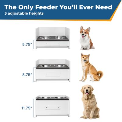 Show full view: GoTags Personalized Adjustable Elevated Dog Bowls, 10-cup slide 5 of 8