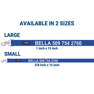 Show full view: GoTags Personalized Dual Dog Leash Coupler, Blue, Large slide 6 of 7