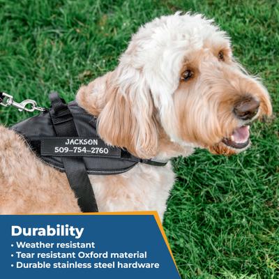 Show full view: GoTags Personalized Nylon Reflective No Pull Dog Harness, Black, Large slide 5 of 8