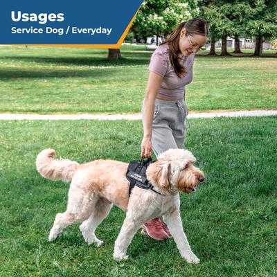 Show full view: GoTags Personalized Nylon Reflective No Pull Dog Harness, Black, Large slide 3 of 8