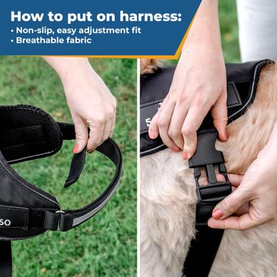 Show full view: GoTags Personalized Nylon Reflective No Pull Dog Harness, Black, X-Small slide 6 of 8