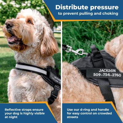 Show full view: GoTags Personalized Nylon Reflective No Pull Dog Harness, Black, X-Small slide 2 of 8