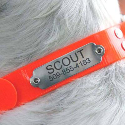 Show full view: GoTags Personalized Sporting Dog Collar, Large: 20 to 23-in neck, 1-in wide slide 4 of 6