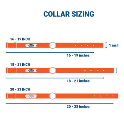 Show full view: GoTags Personalized Sporting Dog Collar, Medium: 18 to 21-in neck, 1-in wide slide 2 of 6