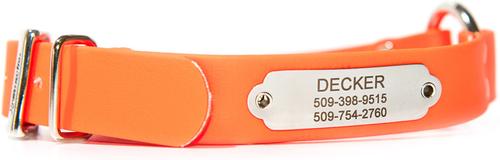 Show full view: GoTags Personalized Sporting Dog Collar, Small: 16 to 19-in neck, 1-in wide slide 1 of 6