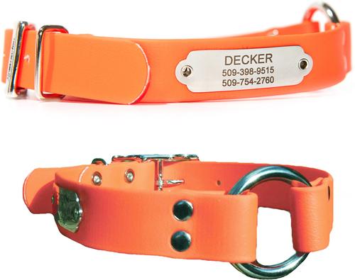 Show full view: GoTags Personalized Sporting Dog Collar, Small: 16 to 19-in neck, 1-in wide slide 3 of 6