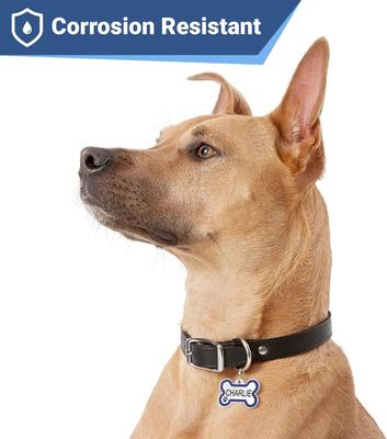 Show full view: GoTags Personalized Stainless Steel with Enamel Paw Design Bone Shaped Pet ID Tag, Cream, Regular slide 5 of 8