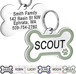 GoTags Personalized Stainless Steel with Enamel Paw Design Bone Shaped Pet ID Tag, Sage, Regular slide 1 of 7