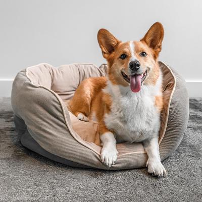 Show full view: GoTags Personalized with Custom Embroidered Pet Name Round Sofa Orthopedic Bolster Dog & Cat Bed, Olive/Beige, Small slide 8 of 9