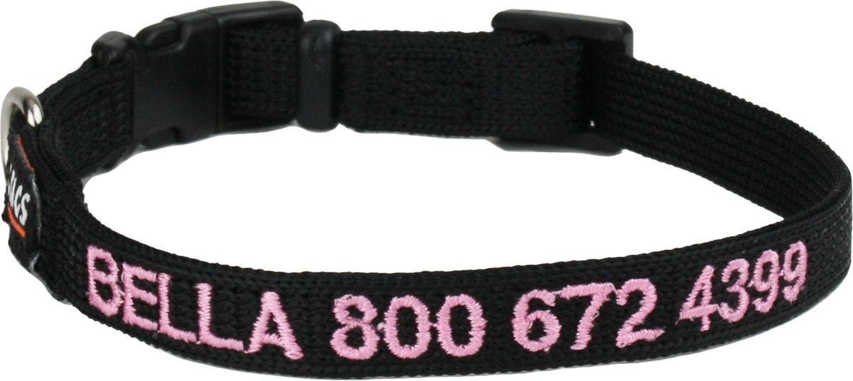 GoTags Small Font Personalized Dog Collar