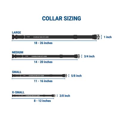 Show full view: GoTags Small Font Personalized Dog Collar, Black, X-Small slide 2 of 6