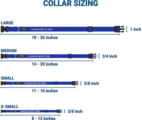 Show full view: GoTags Small Font Personalized Dog Collar, Blue, Large slide 2 of 6