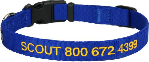Show full view: GoTags Small Font Personalized Dog Collar, Blue, Small slide 1 of 7