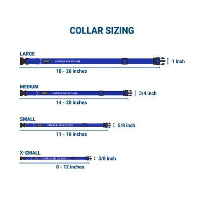 Show full view: GoTags Small Font Personalized Dog Collar, Blue, Small slide 3 of 7