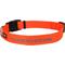 Show in main carousel: GoTags Small Font Personalized Dog Collar, Orange, Large slide 1 of 6