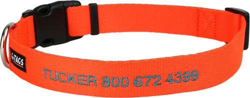 Show full view: GoTags Small Font Personalized Dog Collar, Orange, Large slide 1 of 6