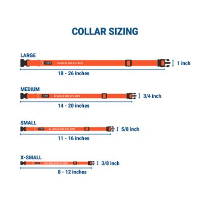 Show full view: GoTags Small Font Personalized Dog Collar, Orange, Large slide 2 of 6